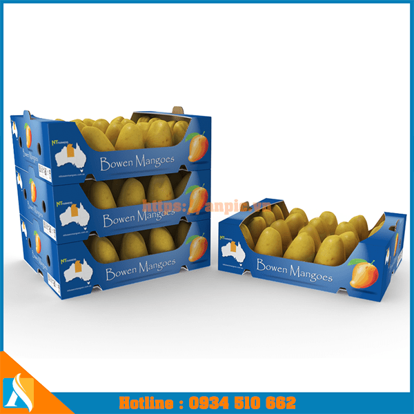 mẫu thùng giấy đựng hoa quả
