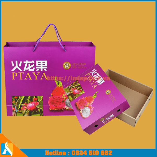 mẫu túi đựng hoa quả bằng giấy