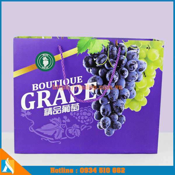 mẫu túi giấy đẹp đựng hoa quả