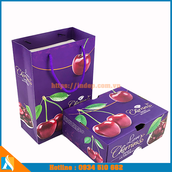 mẫu túi giấy đựng hoa quả cao cấp