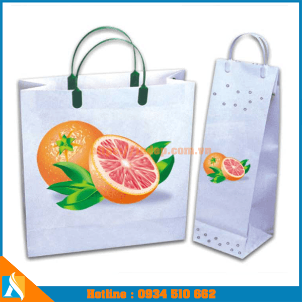 mẫu túi giấy đựng hoa quả