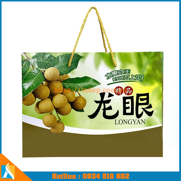 mẫu túi xách giấy đựng trái cây cao cấp