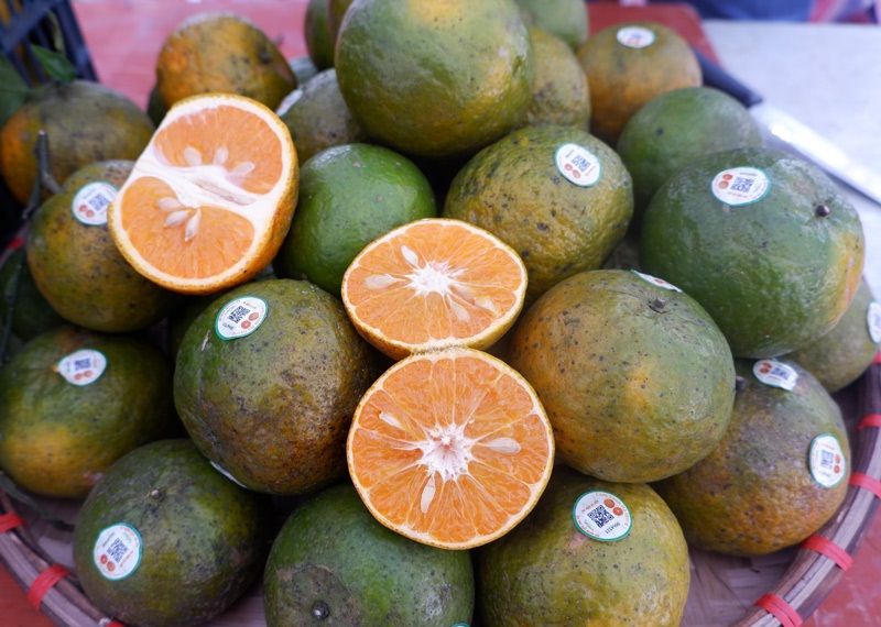 nhãn mác dán cam sành tại Hà Giang