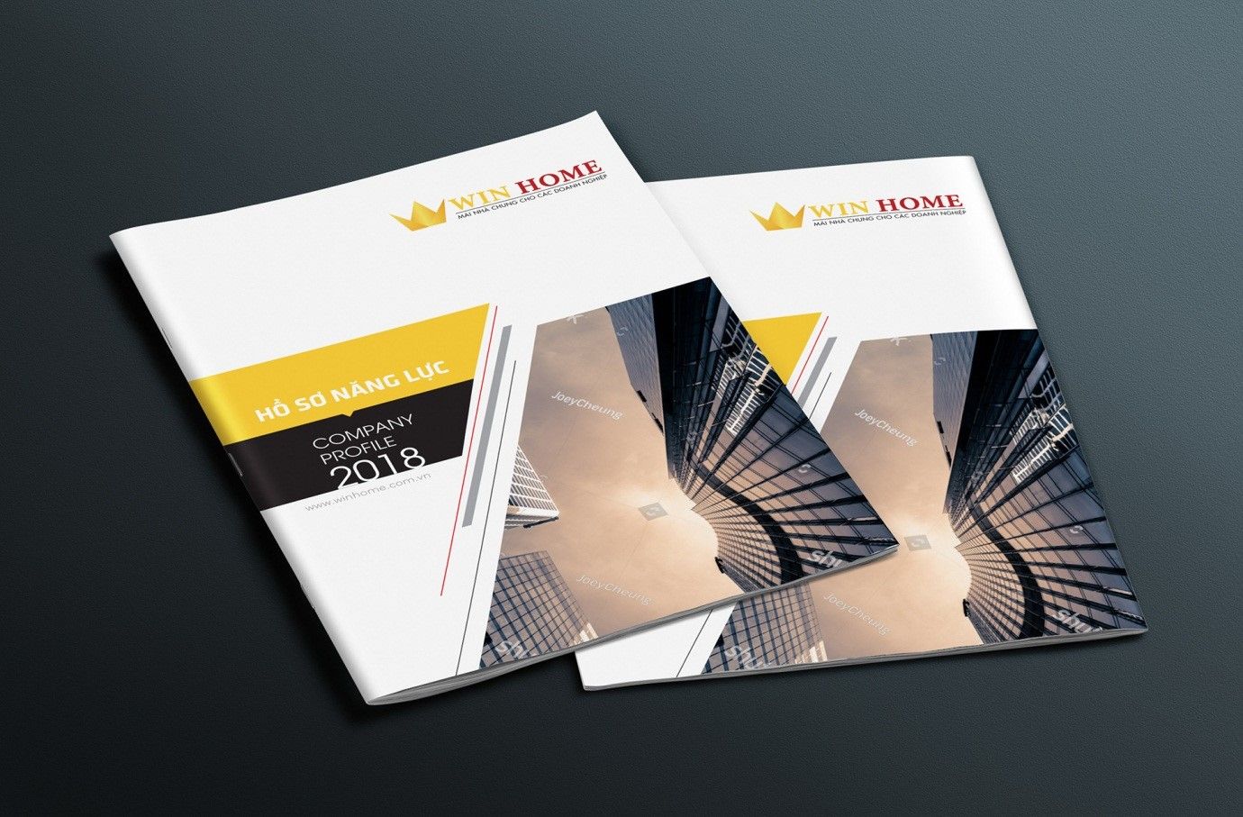 Profile công ty cung cấp đầy đủ thông tin và các nguồn lực của doanh nghiệp