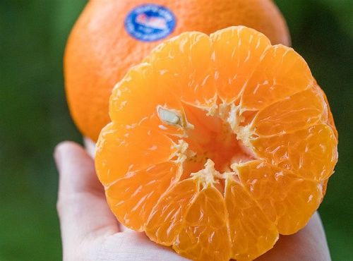 tem nhãn dán quýt Lý Nhân Hà Nam