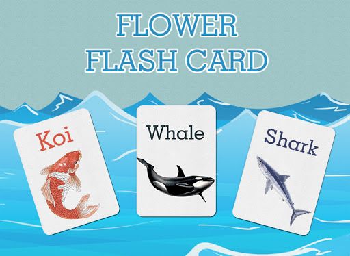 thẻ flashcard là gì