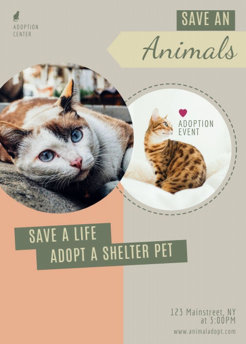 thiet ke to roi phong chu dep img