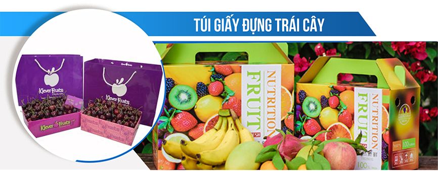 tui-giay-dung-trai-cay